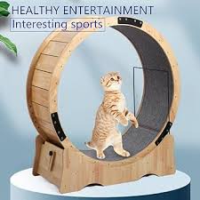 猫のための屋内運動輪